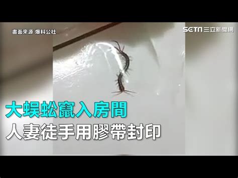 蜈蚣在房間 坐廁改位